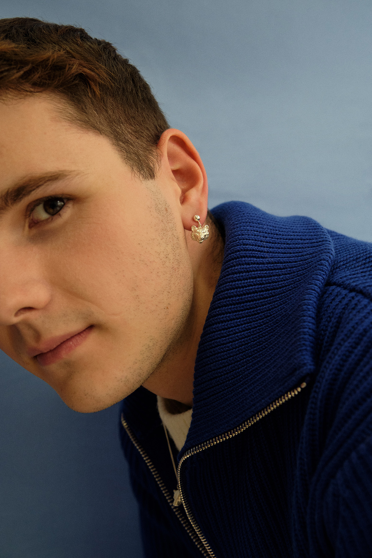 ANIMAL PLATA SHOP 4